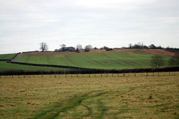 Potsgrove ridge from the west January 2008